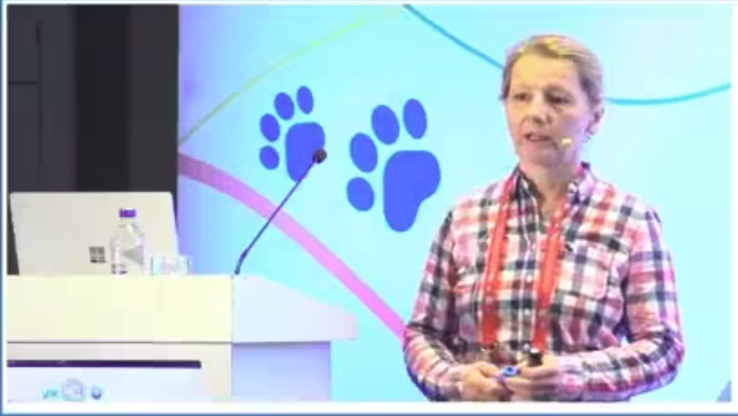 18- Köpeklerde Cushing Sendromu - Christiane Stengel